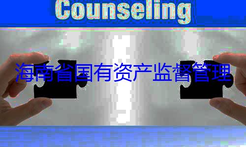 有福接受审委副书记王海南省国有资产监督管理委员会党查调查